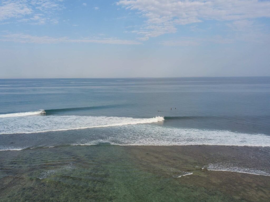Surf T-Land, or learn at Squealers
