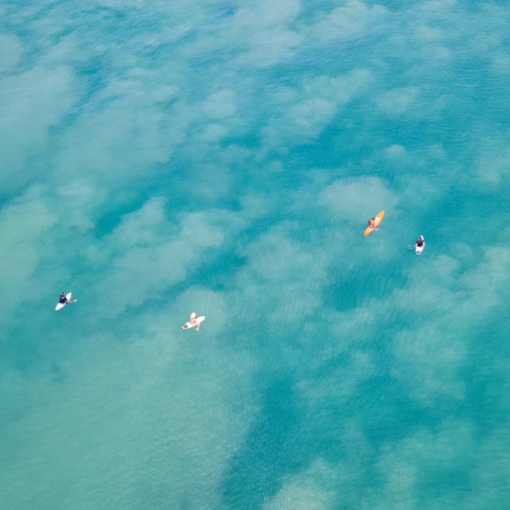 DJI_0078x